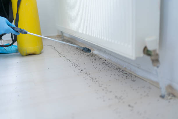 Best Rat Extermination Near Me  in Gettysburg, PA